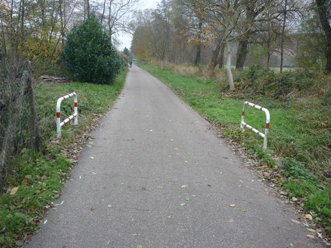 Zwischen Dielheim und Horrenberg