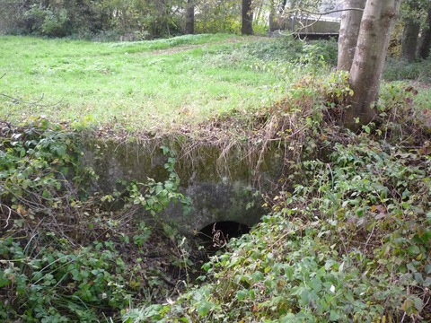 Zwischen Rotenberg und Mhlhausen