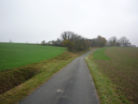 Zwischen Schatthausen und Meckesheim