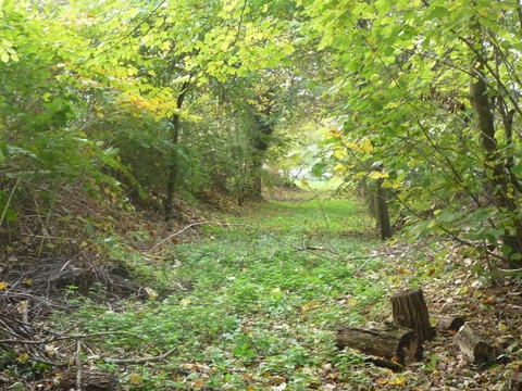 Zwischen Wiesloch und Rauenberg Nord