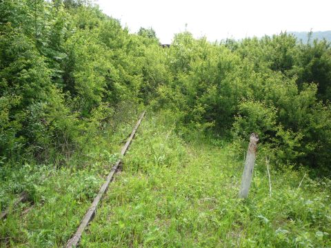 Abgestellter Waggon zwischen Assamstadt-Horrenbach und Klepsau