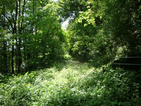 Fugngerbergang zwischen Degmarn und Kochertrn