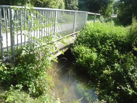 Brcke ber einen Seitenkanal des Thierbachs