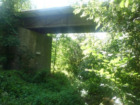 Brcke ber den Thierbach