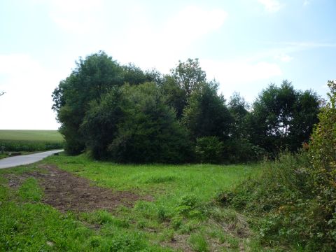 Brcke ber den Thierbach