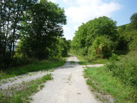 Zwischen Rttingen und Tauberrettersheim