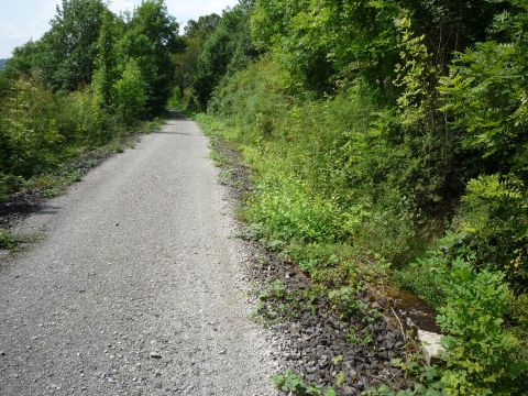 Zwischen Rttingen und Tauberrettersheim