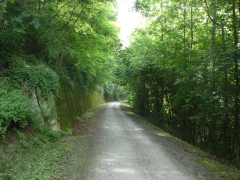 Zwischen Reinsbronn und Klingen