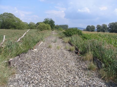 Brcke im Wemdinger Ried