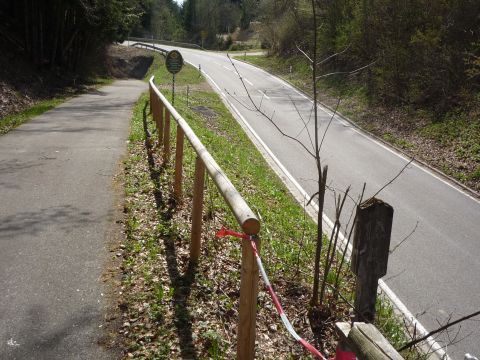 Brcke der Strae nach Sachsenried