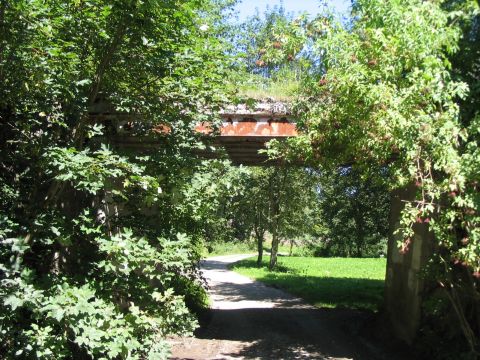 Brcke ber einen Waldweg