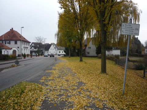 Zwischen Marlen und Goldscheuer-Kittersburg