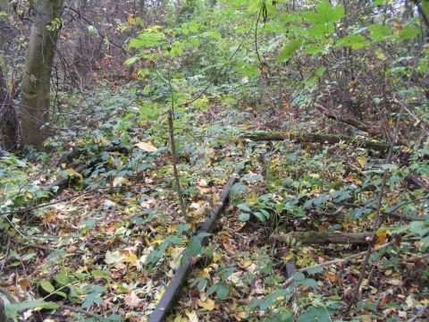 Umsetzgleise Schlachthof