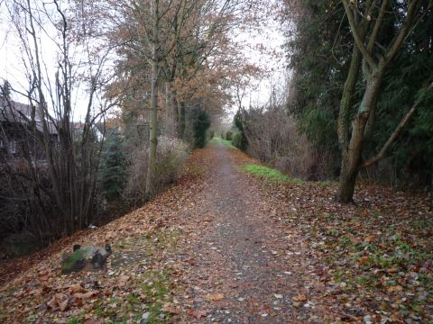 S�dlich vom Arlinger