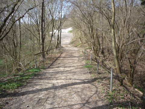 Br�cke �ber die Pfinz