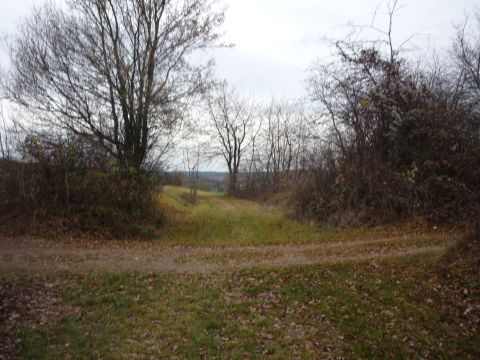 Bahn�bergang zwischen Birkenfeld und Gr�fenhausen