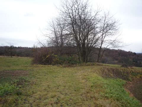 Bahn�bergang zwischen Birkenfeld und Gr�fenhausen