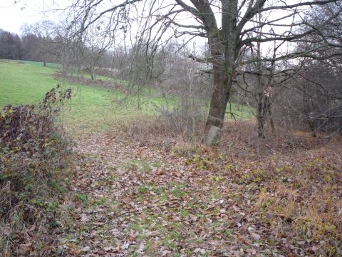 Bahn�bergang zwischen Birkenfeld und Gr�fenhausen