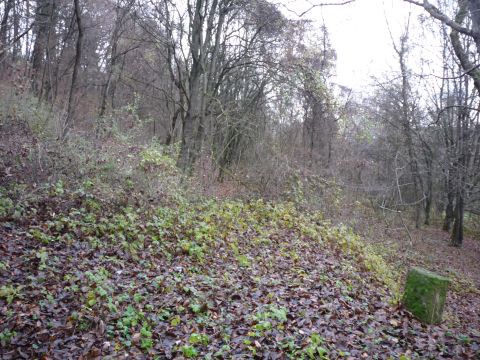 Bahn�bergang zwischen Gr�fenhausen und Dietlingen