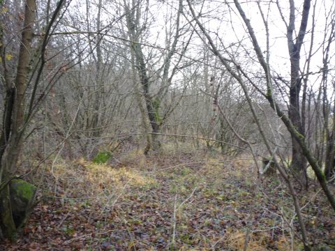 Bahn�bergang zwischen Gr�fenhausen und Dietlingen