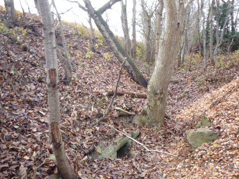 Damm vor dem Haltepunkt Birkenfeld