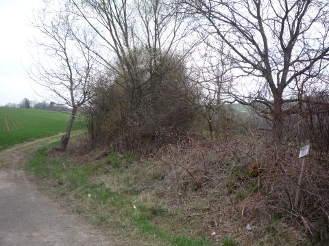 Zwischen Dietlingen und Niebelsbach