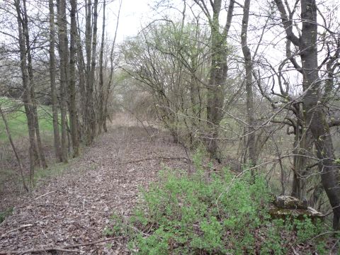 Zwischen Dietlingen und Niebelsbach