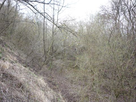 Zwischen Dietlingen und Niebelsbach