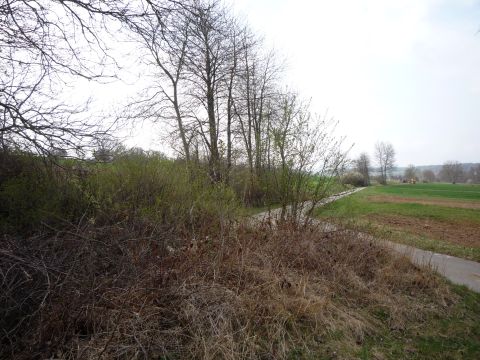 Zwischen Ellmendingen und Weiler