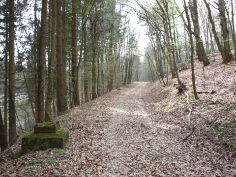 Zwischen Hochm�hle und Feldrennach