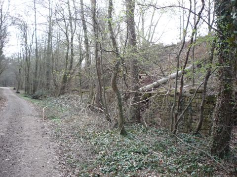 Zwischen Hochm�hle und Feldrennach