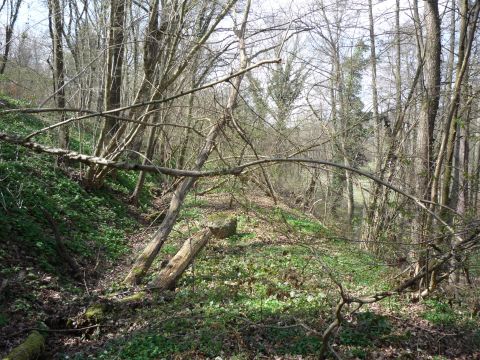 Zwischen Weiler-Ottenhausen und Pfinzbr�cke