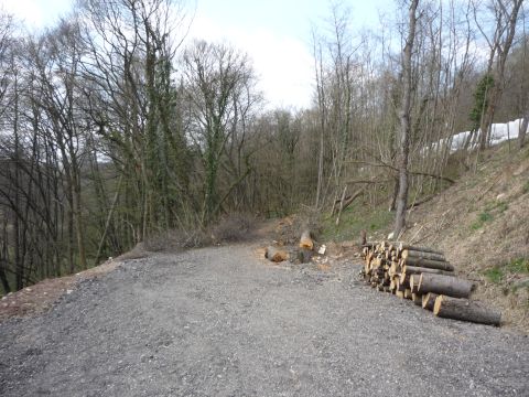 Zwischen Pfinzbr�cke und Hochm�hle