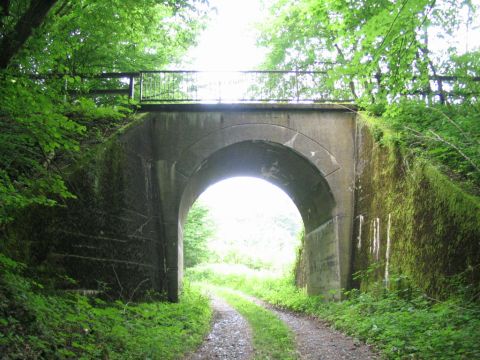 Br�cke im Wald zwischen Rhumspringe und P�hlde